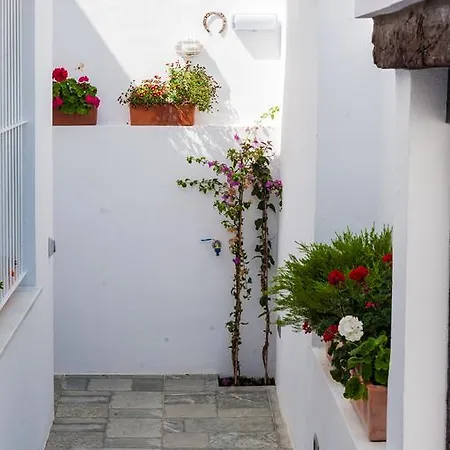 Alhania Vejer